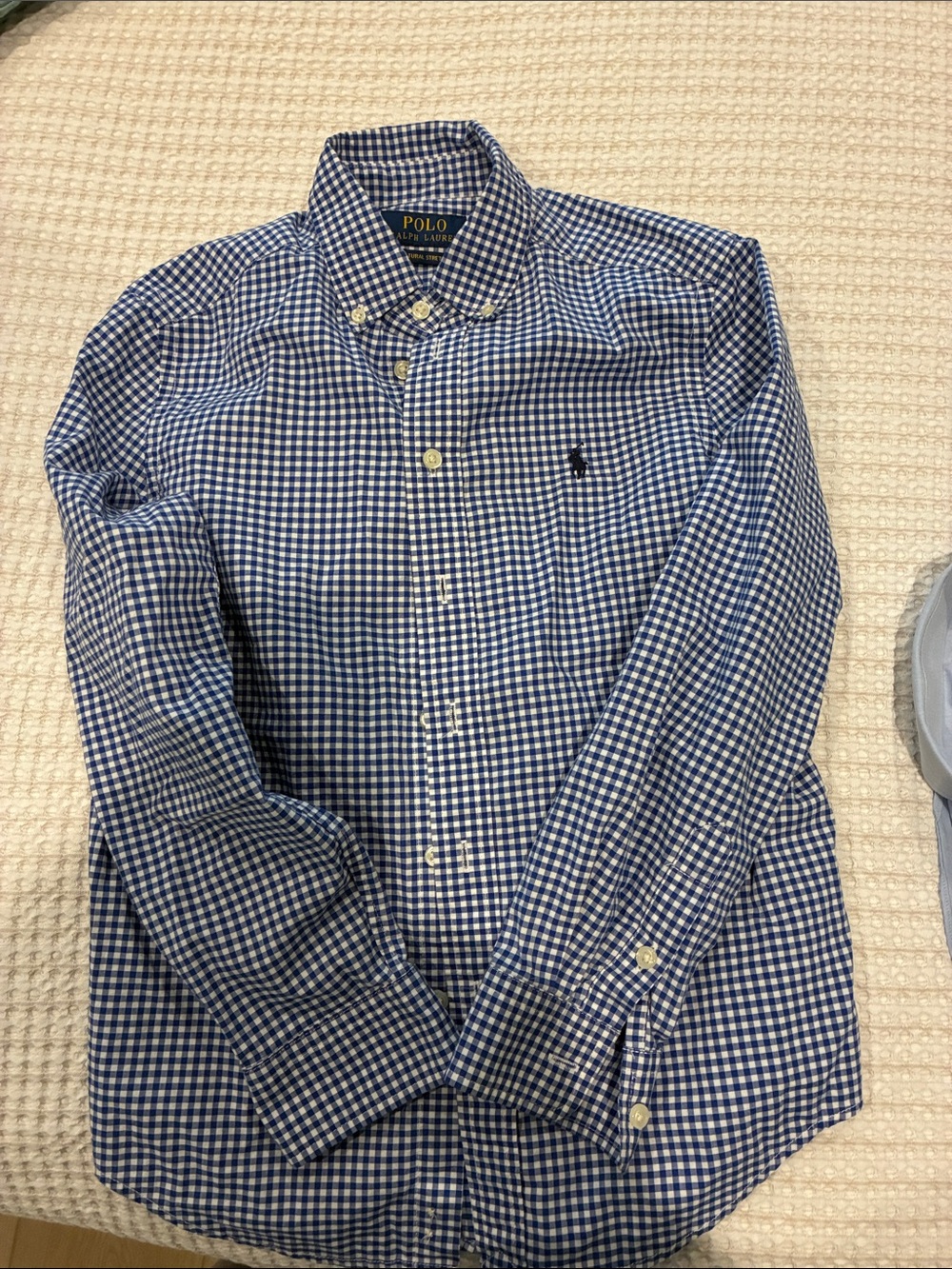 Polo by Ralph Lauren Blue and White Gingham Button-Down Shirt